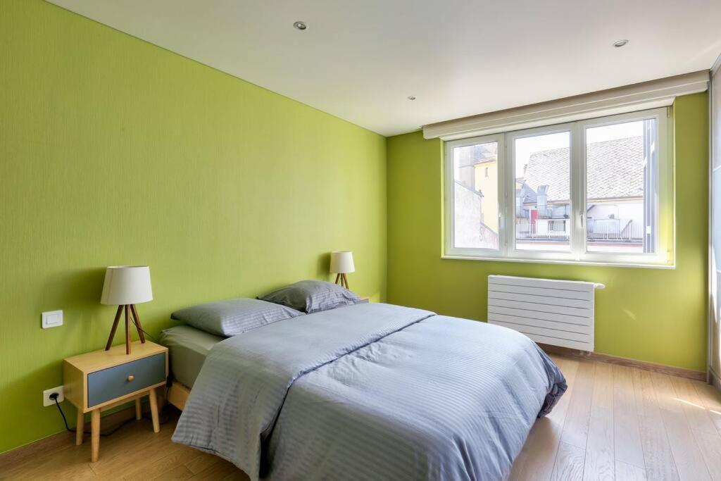 Appartement Spacieux Au Coeur De Strasbourg Exterior foto